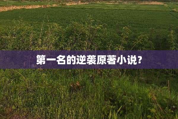 第一名的逆袭原著小说？