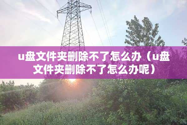 u盘文件夹删除不了怎么办（u盘文件夹删除不了怎么办呢）