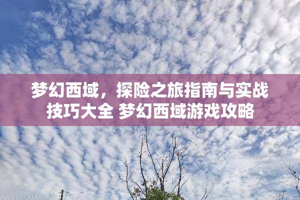 梦幻西域，探险之旅指南与实战技巧大全 梦幻西域游戏攻略