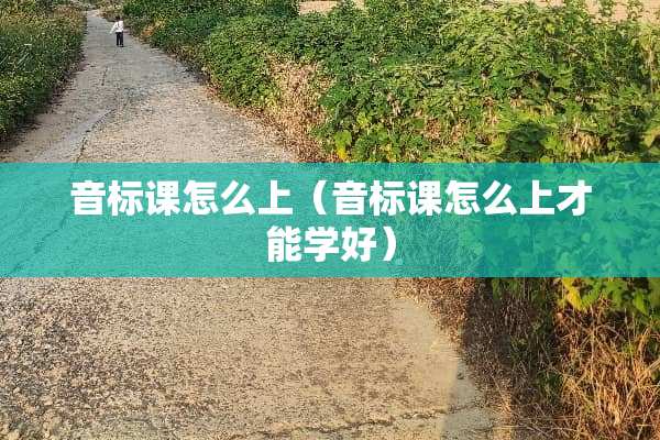 音标课怎么上(音标课怎么上才能学好) 音标课怎么上(音标课怎么上才能学好)