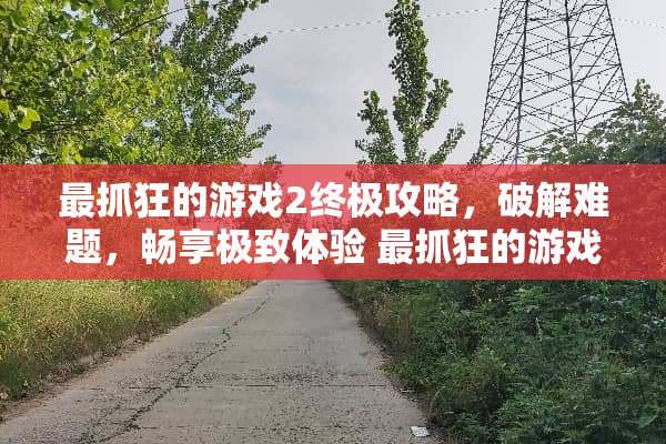 最抓狂的游戏2终极攻略，**难题，畅享极致体验 最抓狂的游戏2攻略