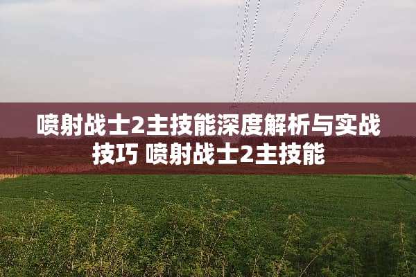 喷射战士2主技能深度解析与实战技巧 喷射战士2主技能