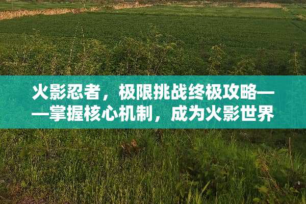 火影忍者，极限挑战终极攻略——掌握核心机制，成为火影世界的主宰 火影极限挑战攻略