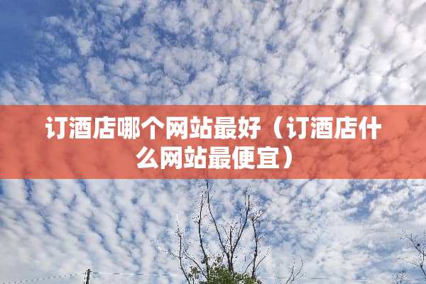 订酒店哪个网站最好（订酒店什么网站最便宜）