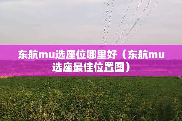 东航mu选座位哪里好（东航mu选座最佳位置图）