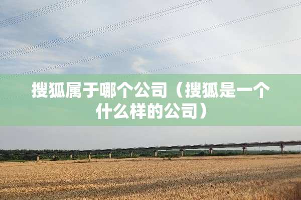 搜狐属于哪个公司（搜狐是一个什么样的公司）