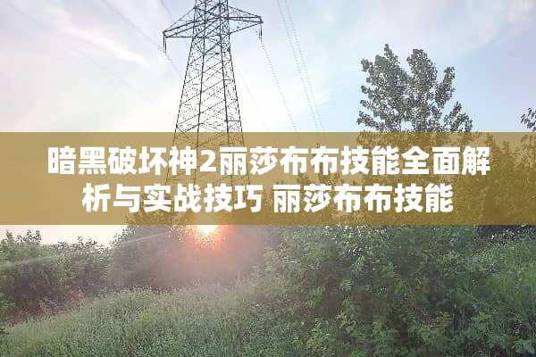 暗黑破坏神2丽莎布布技能全面解析与实战技巧 丽莎布布技能