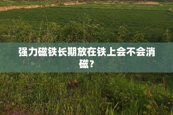 强力磁铁长期放在铁上会不会消磁？