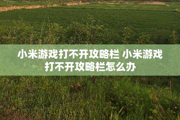 小米游戏打不开攻略栏 小米游戏打不开攻略栏怎么办