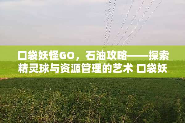 口袋妖怪GO,石油攻略——探索精灵球与资源管理的艺术 口袋妖怪游戏石油攻略 口袋妖怪GO,石油攻略——探索精灵球与资源管理的艺术 口袋妖怪游戏石油攻略