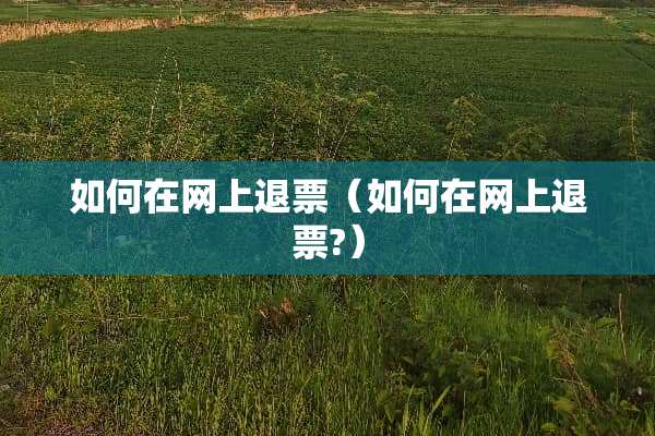 如何在网上退票（如何在网上退票?）