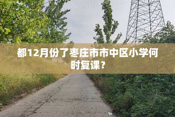 都12月份了枣庄市市中区小学何时复课？