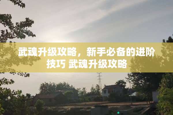 武魂升级攻略，新手必备的进阶技巧 武魂升级攻略