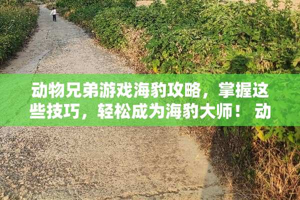 动物兄弟游戏海豹攻略，掌握这些技巧，轻松成为海豹大师！ 动物兄弟游戏海豹攻略