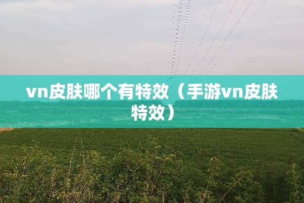 vn皮肤哪个有特效（手游vn皮肤特效）