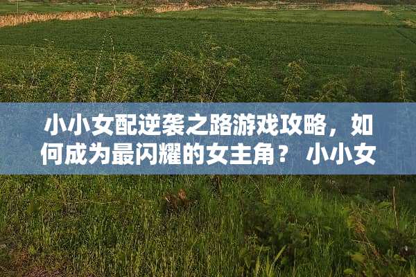 小小女配逆袭之路游戏攻略，如何成为最闪耀的女主角？ 小小女配游戏攻略