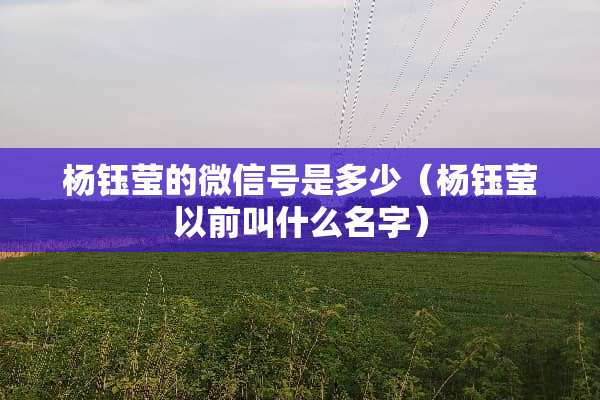 杨钰莹的微信号是多少（杨钰莹以前叫什么名字）