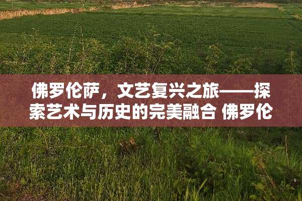 佛罗伦萨，文艺复兴之旅——探索艺术与历史的完美融合 佛罗伦萨攻略游戏