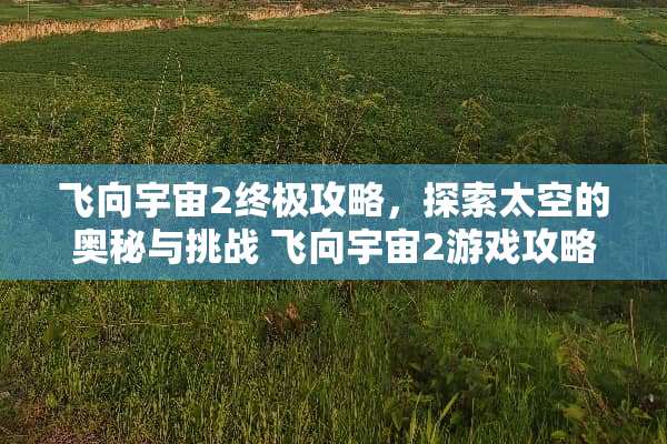 飞向宇宙2终极攻略，探索太空的奥秘与挑战 飞向宇宙2游戏攻略