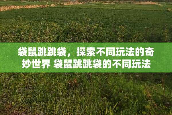 袋鼠跳跳袋，探索不同玩法的奇妙世界 袋鼠跳跳袋的不同玩法