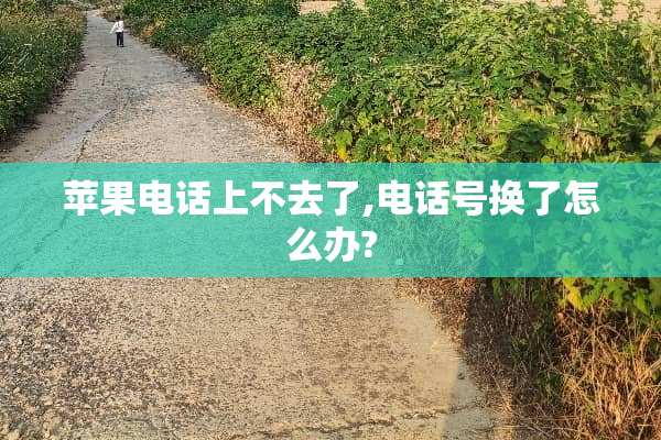 苹果电话上不去了,电话号换了怎么办?