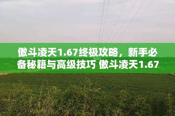 傲斗凌天1.67终极攻略,新手必备秘籍与高级技巧 傲斗凌天1.67攻略 傲斗凌天1.67终极攻略,新手必备秘籍与高级技巧 傲斗凌天1.67攻略