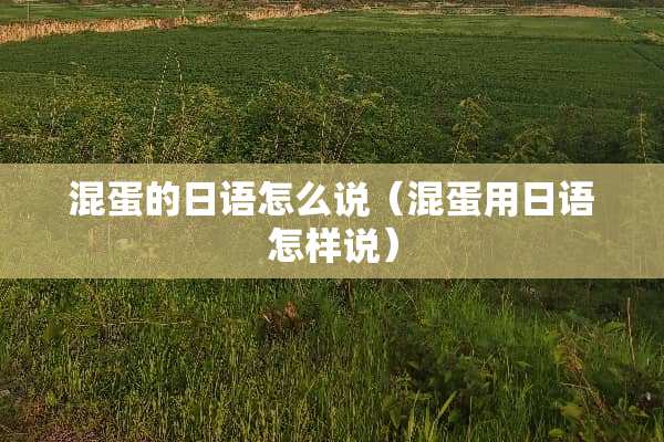 混蛋的日语怎么说（混蛋用日语怎样说）