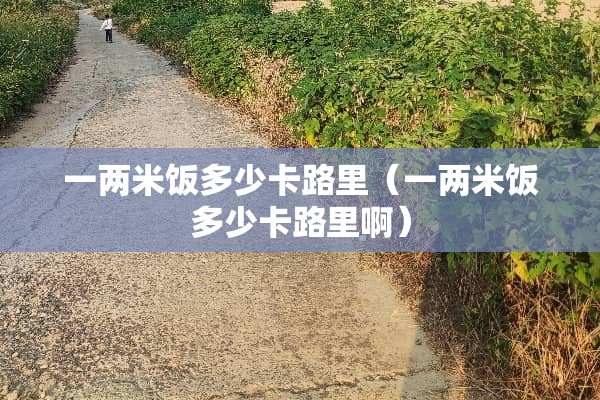 一两米饭多少卡路里（一两米饭多少卡路里啊）