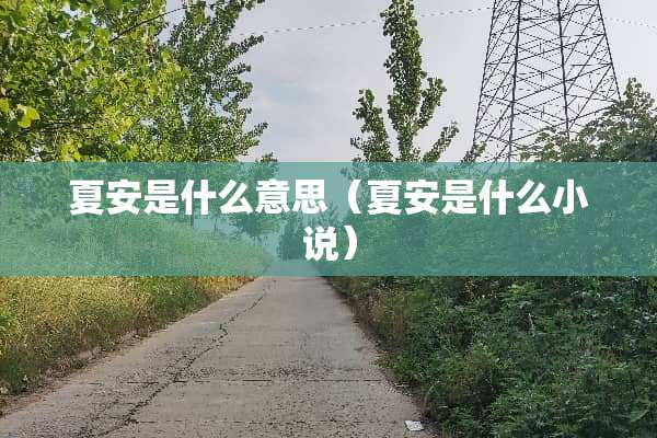 夏安是什么意思（夏安是什么小说）