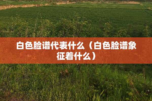 白色脸谱代表什么（白色脸谱象征着什么）