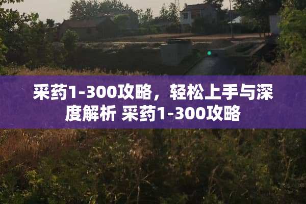 采药1-300攻略，轻松上手与深度解析 采药1-300攻略