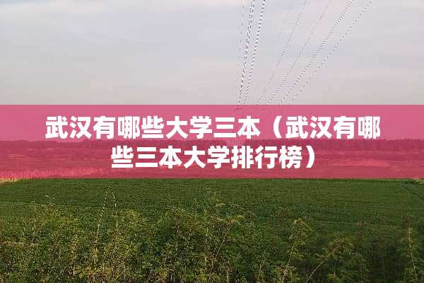 武汉有哪些大学三本(武汉有哪些三本大学排行榜) 武汉有哪些大学三本(武汉有哪些三本大学排行榜)