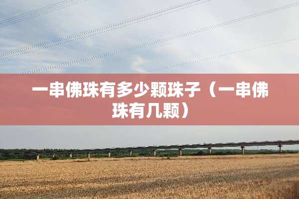 一串佛珠有多少颗珠子（一串佛珠有几颗）