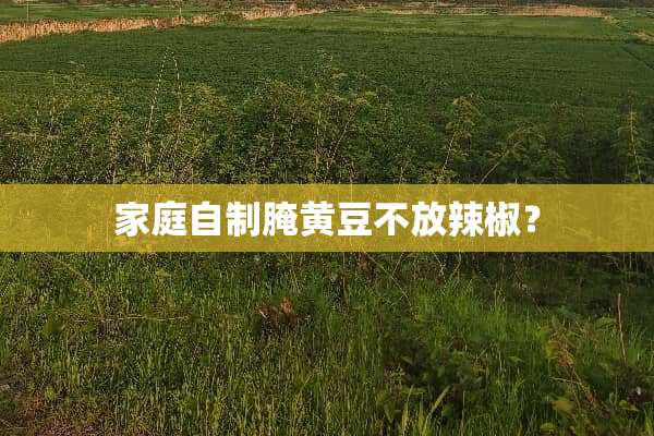 家庭自制腌黄豆不放辣椒？
