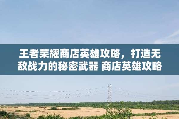 王者荣耀商店英雄攻略,打造无敌战力的秘密** 商店英雄攻略 王者荣耀商店英雄攻略,打造无敌战力的秘密** 商店英雄攻略