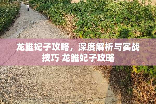 龙雏妃子攻略，深度解析与实战技巧 龙雏妃子攻略