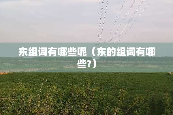东组词有哪些呢(东的组词有哪些?) 东组词有哪些呢(东的组词有哪些?)