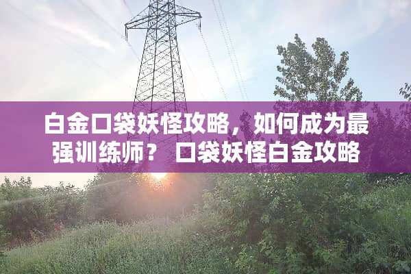 白金口袋妖怪攻略，如何成为最强训练师？ 口袋妖怪白金攻略