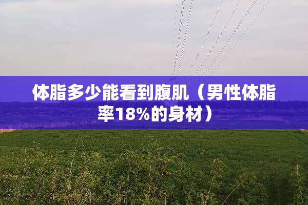 体脂多少能看到腹肌(男性体脂率18%的身材) 体脂多少能看到腹肌(男性体脂率18%的身材)