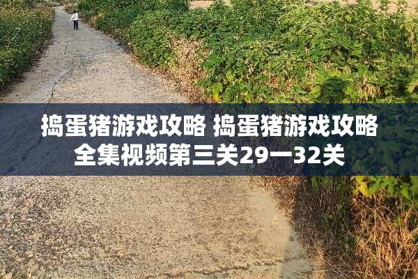 捣蛋猪游戏攻略 捣蛋猪游戏攻略全集视频第三关29一32关