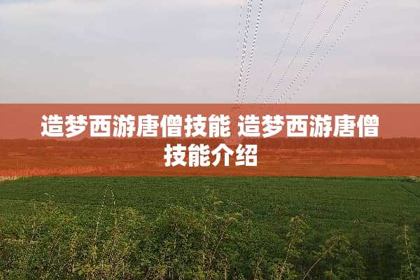 造梦西游唐僧技能 造梦西游唐僧技能介绍 造梦西游唐僧技能 造梦西游唐僧技能介绍