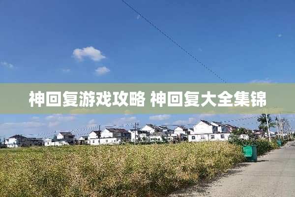 神回复游戏攻略 神回复大全集锦 神回复游戏攻略 神回复大全集锦