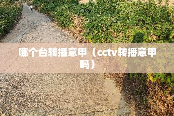 哪个台转播意甲（cctv转播意甲吗）