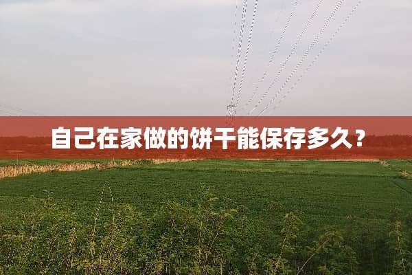 自己在家做的饼干能保存多久？