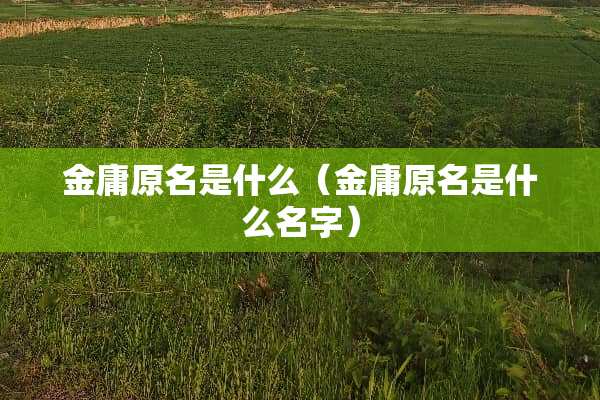 金庸原名是什么（金庸原名是什么名字）