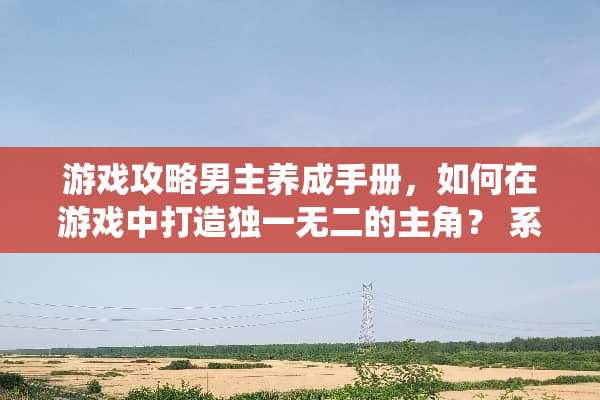 游戏攻略男主养成手册，如何在游戏中打造独一无二的主角？ 系统养成男主攻略手册