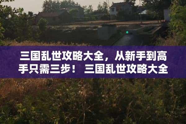 三国乱世攻略大全，从新手到高手只需三步！ 三国乱世攻略大全