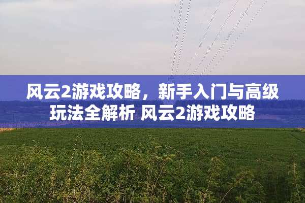 风云2游戏攻略，新手入门与高级玩法全解析 风云2游戏攻略