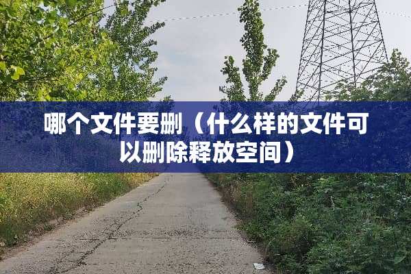 哪个文件要删（什么样的文件可以删除释放空间）
