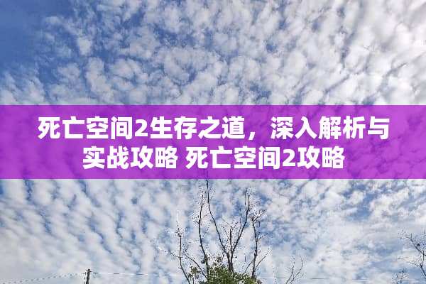 死亡空间2生存之道，深入解析与实战攻略 死亡空间2攻略